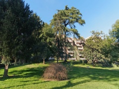 ea_DSC07025_JPG_942934818