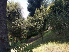 ea_IMG_20200627_114607